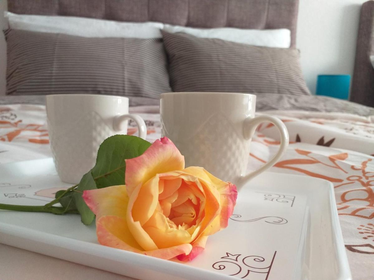 Apartments Karic Aerodrom Tuzla Dubrave Gornje Екстериор снимка